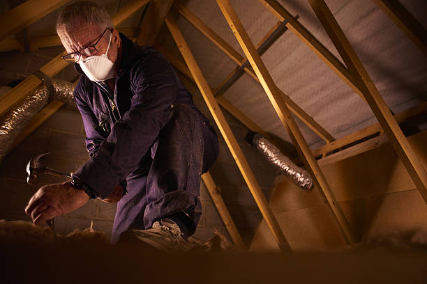 Best Specialized Insulation Services in Magnolia, AR