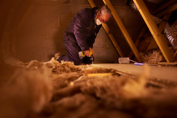 Types of Insulation We Offer in Magnolia, AR